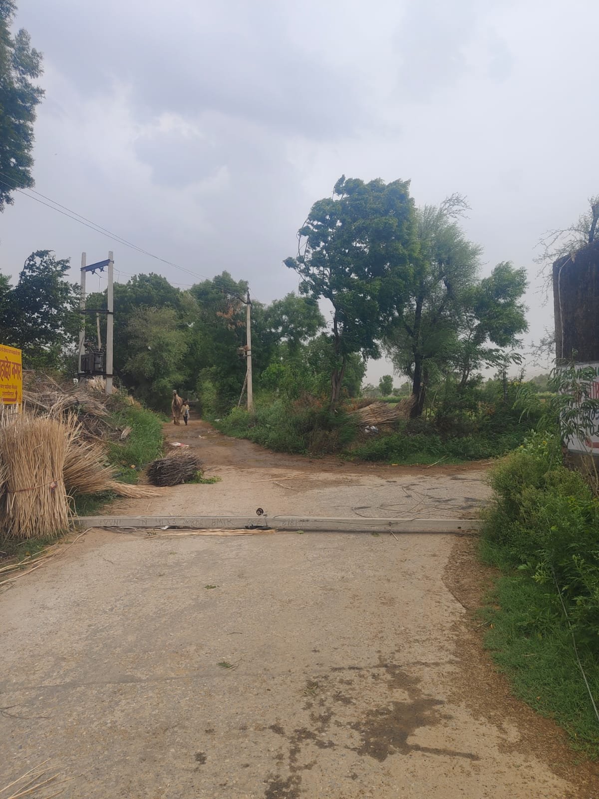 ब्रेकिंग न्यूज